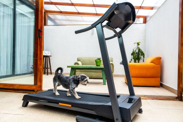 Treadmill Installation in Lilburn