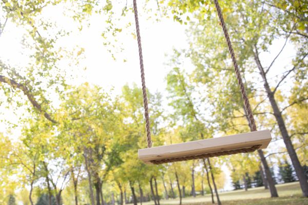 Tree Swing Installation in Lilburn