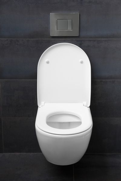 Toilet Lid Installation in Lilburn
