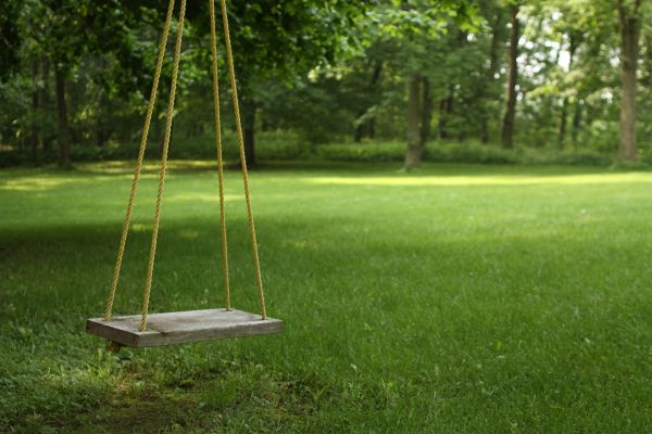 Rope Swing Installation in Lilburn