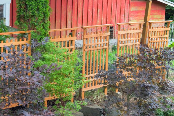 Wood Trellis Mounting in Lilburn