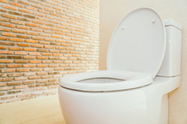 Toilet Seat Repair in Lilburn